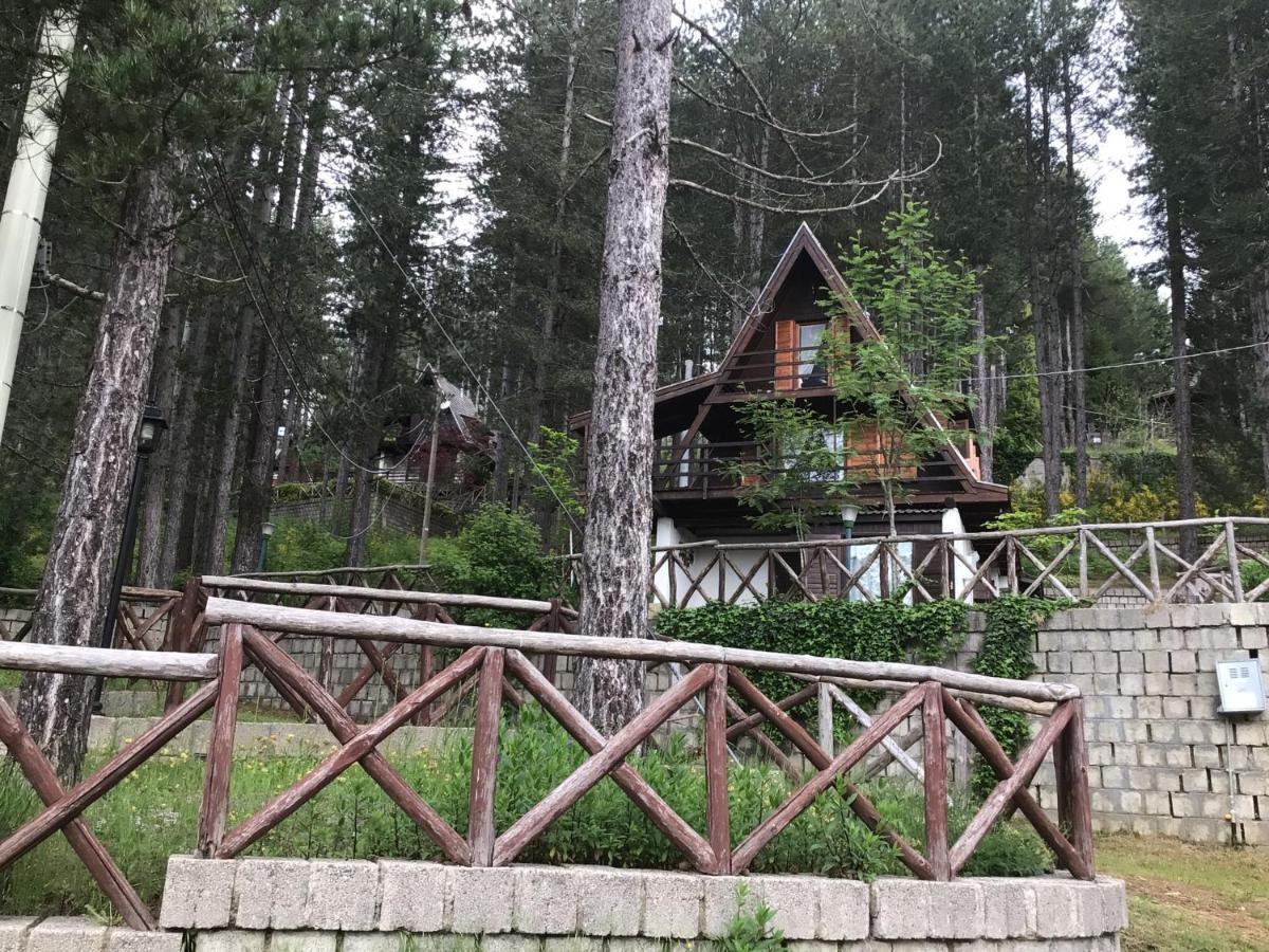 Chalet Natura Sport&Relax Cavaliere  외부 사진