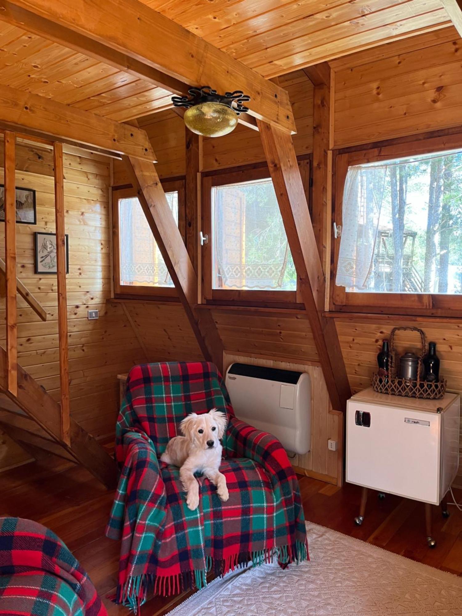 Chalet Natura Sport&Relax Cavaliere  외부 사진